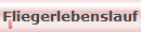 Fliegerlebenslauf